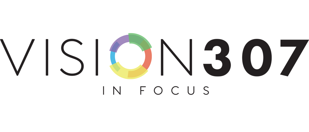 Vision 307 Vision 307